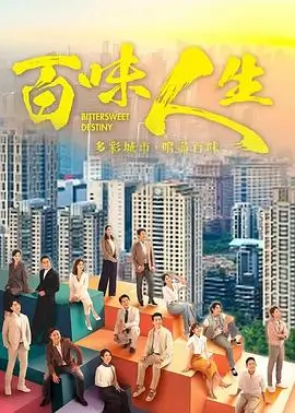 你是迟来的欢喜 电视剧海报